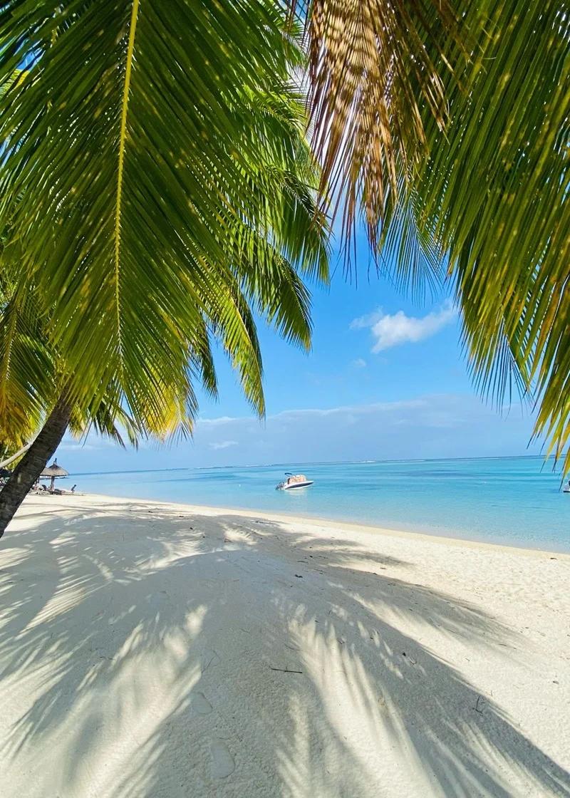 Le Morne Le Paradis Beach Beach photo 5