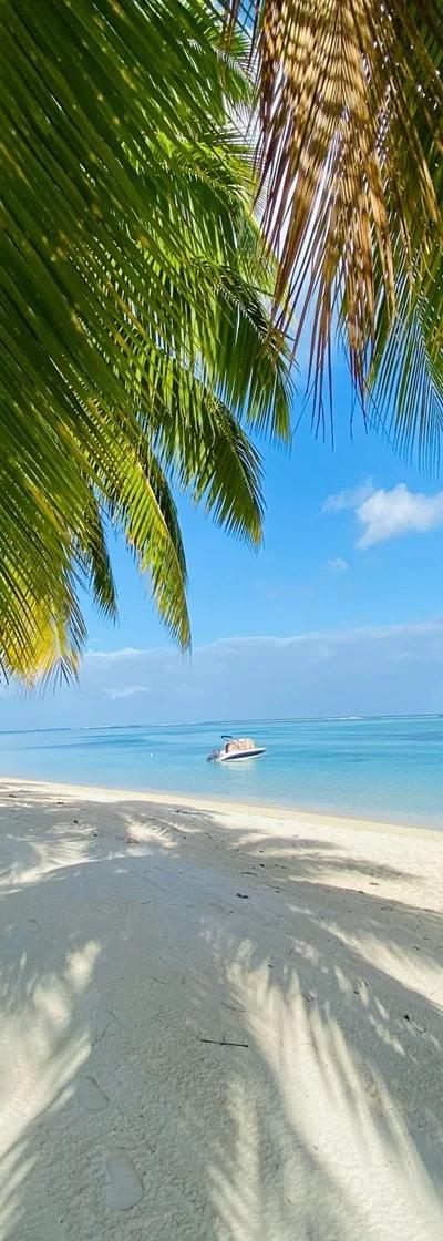 Le Morne Le Paradis Beach Beach photo 5