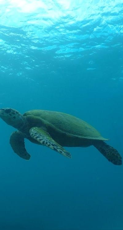 Blue Bay Marine Park Beach photo 3