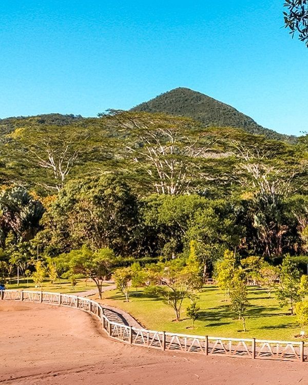 Panoramablick auf die Siebenfarbige Erde von Chamarel umgeben von tropischer Vegetation