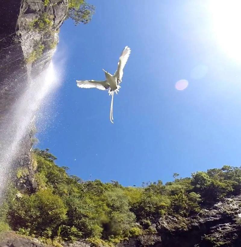 seven-waterfall-in-mauritius-.webp