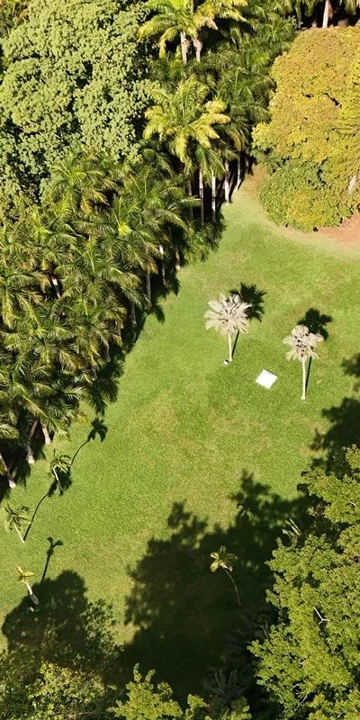Pamplemousses Botanical Garden Beach photo 14