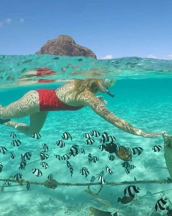 Go Snorkeling or Diving