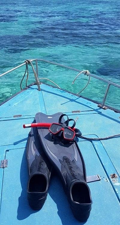 Blue Bay Marine Park Beach photo 4