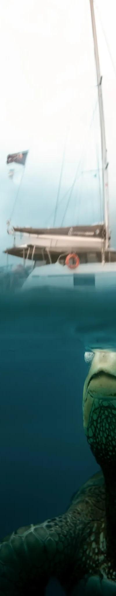 Catamaran Liveonboard Multi-day Experience Beach photo 9