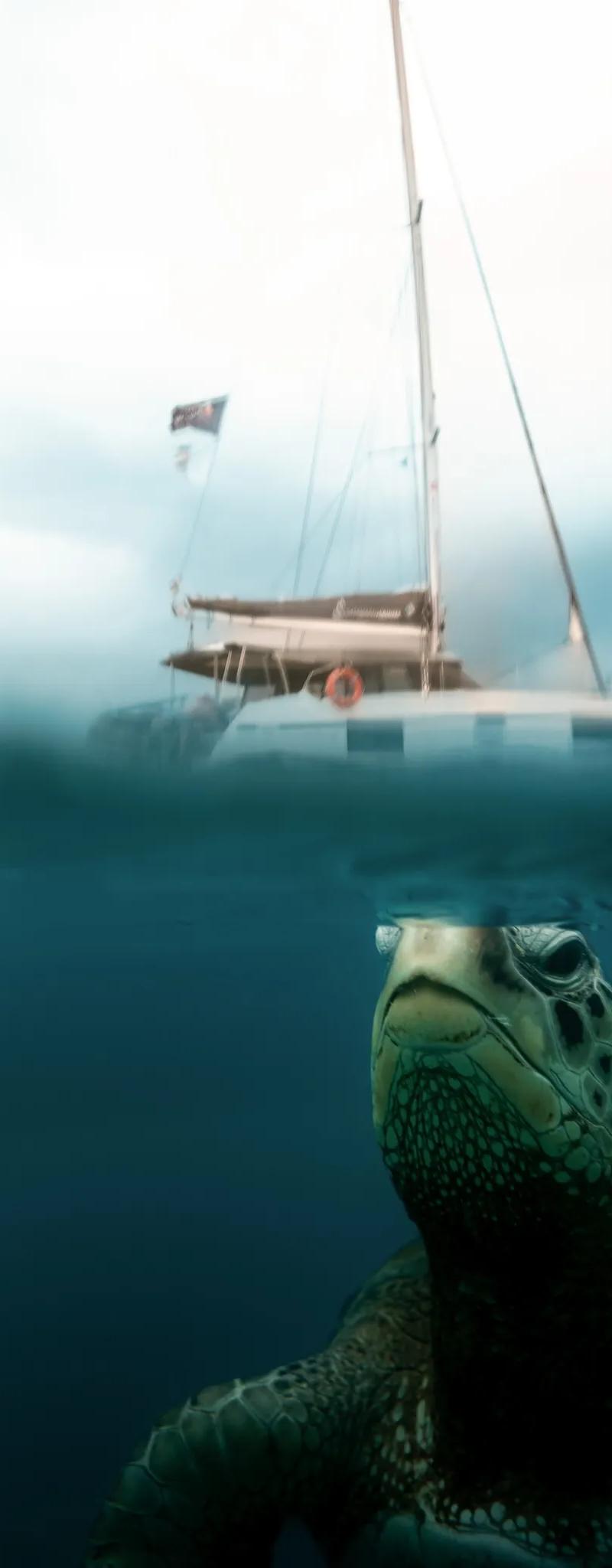 snorkeling-in-mauritius-catamaran-cruise.webp