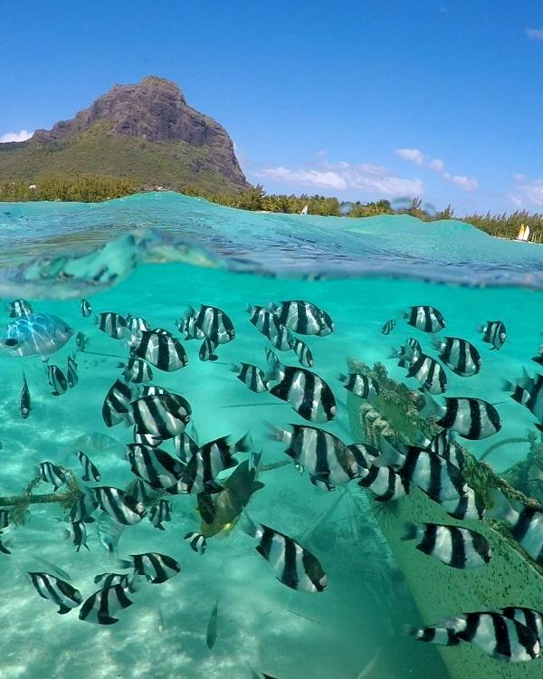 Le Morne Le Paradis Beach Beach photo 14