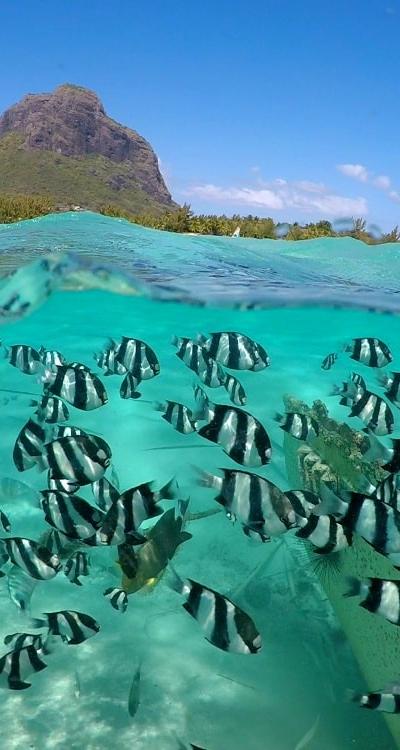 Ile des Deux Cocos Beach photo 8