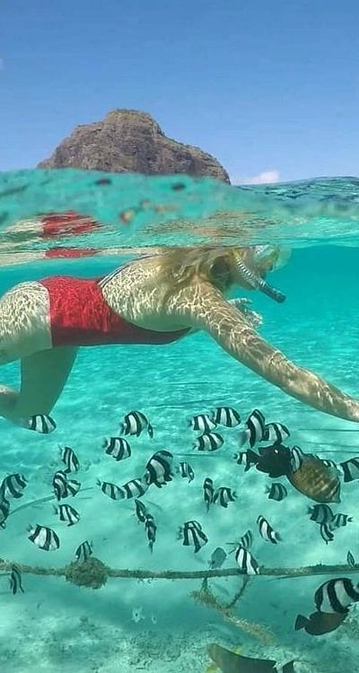 Ile des Deux Cocos Beach photo 9