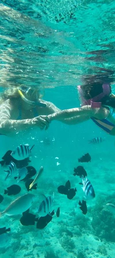 Mauritius for Families and Kids: A Local Guide to Beaches, Activities, Hotels & Kid-Friendly Food