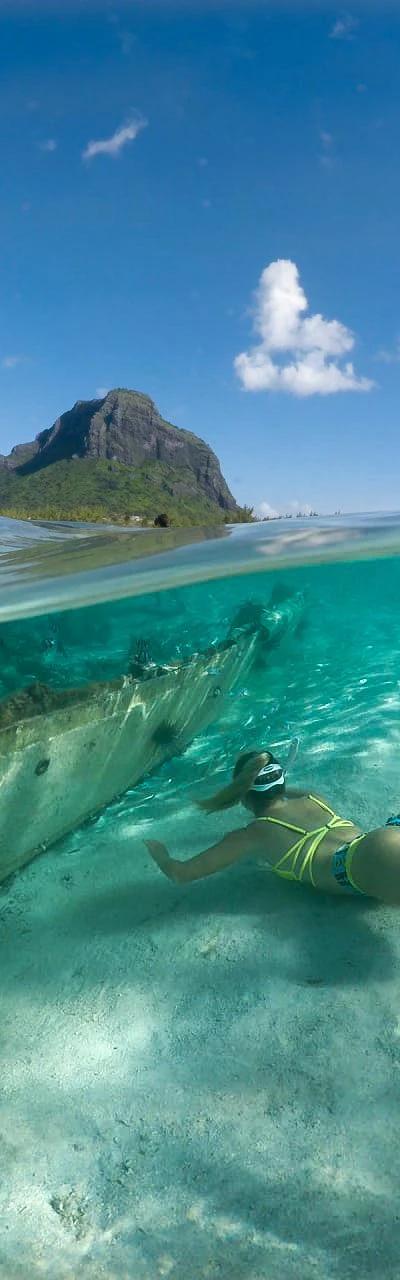 Swim with Dolphins - West Coast Beach photo 8