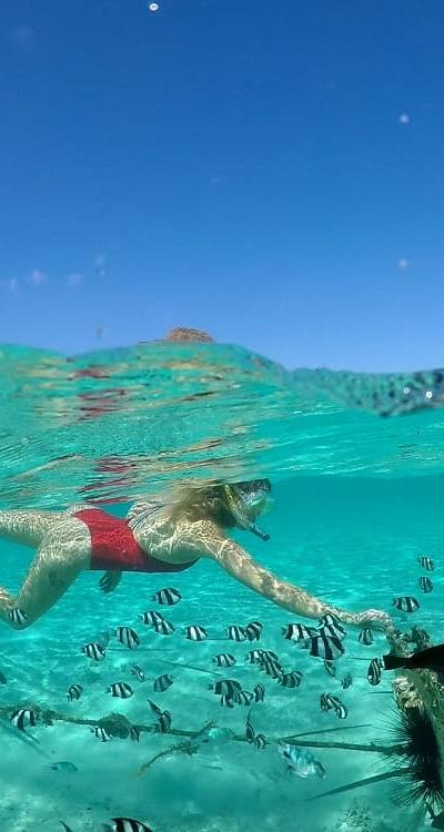 Swim with Dolphins - West Coast Beach photo 7