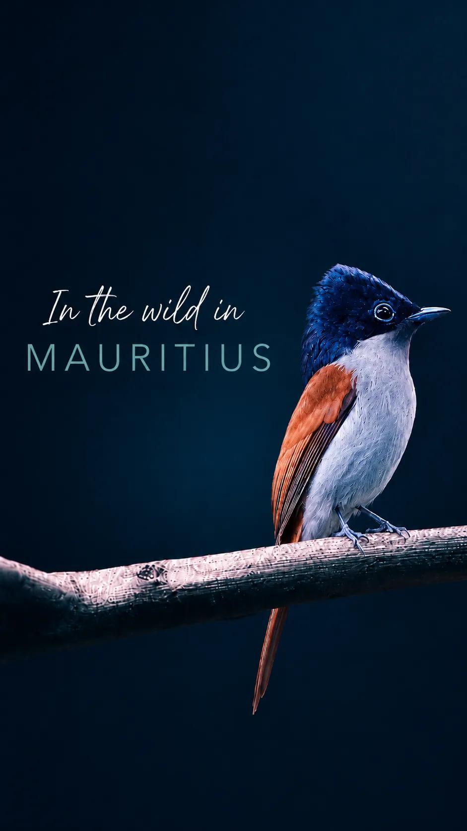 Spring Escapes in Mauritius National Parks: Beyond Hiking