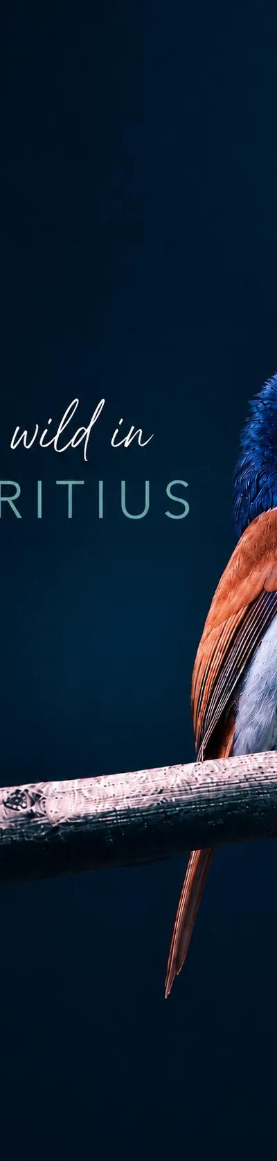 Spring Escapes in Mauritius National Parks: Beyond Hiking