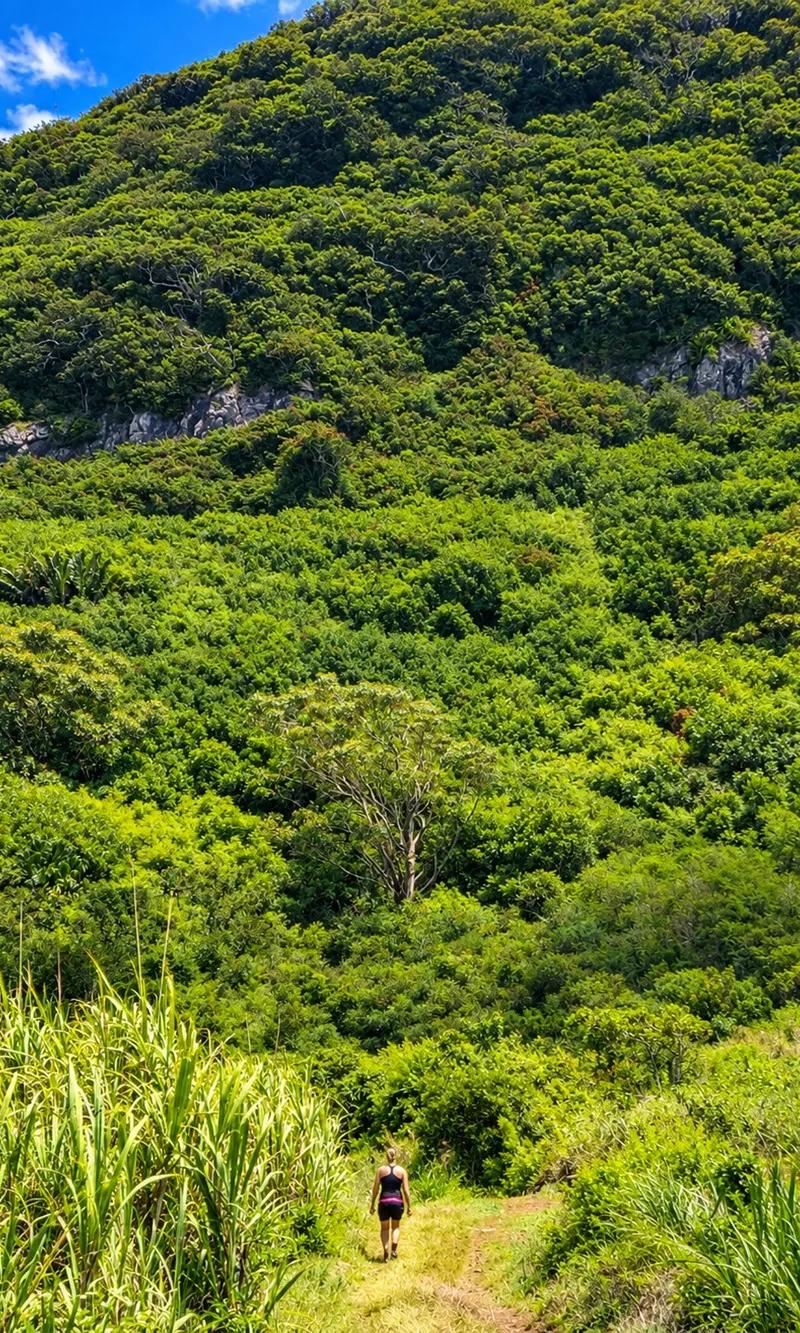 starting-the-hike-at-le-pouce--mauritius..webp