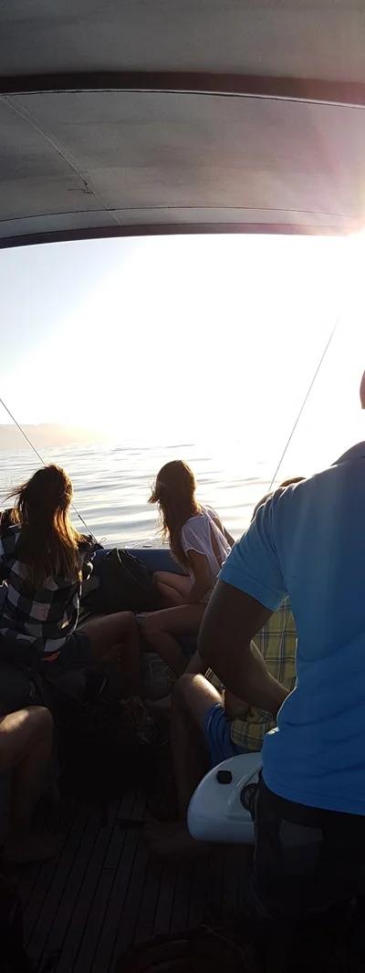 Nager avec les dauphins - Côte ouest Beach photo 2