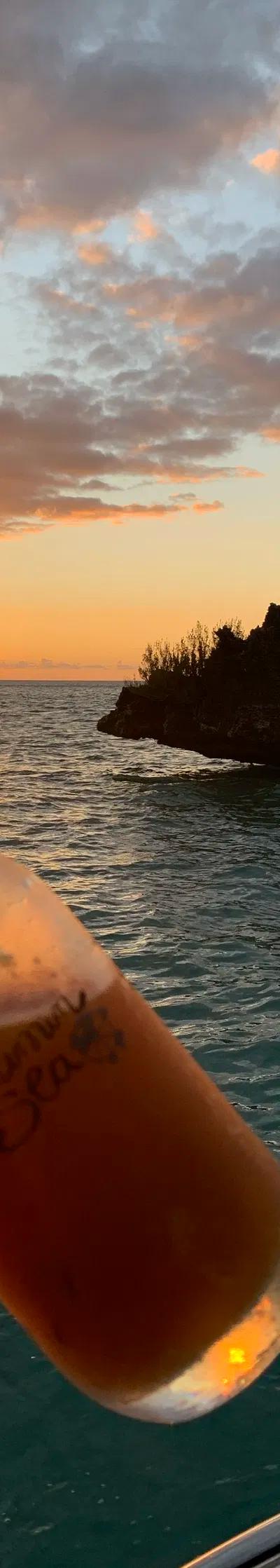 Twilight Bliss: Sunset BBQ & Bonfire Escape at Ile aux Benitiers Beach photo 2