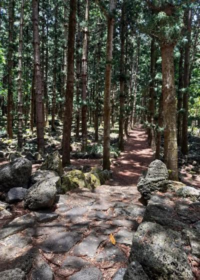 Belle Vue(daruty) Forest Trail