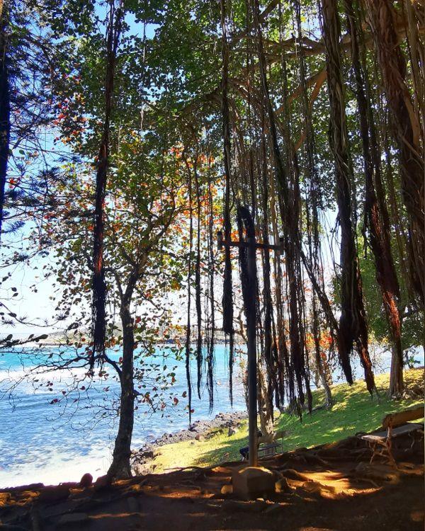 Telfair Garden Beach photo 2