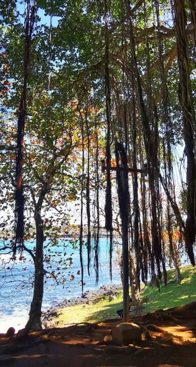 Telfair Garden Beach photo 2