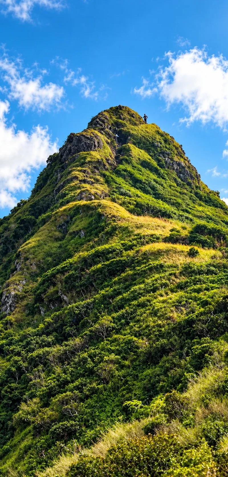 the-final-ascent-at-le-pouce--mauritius..webp