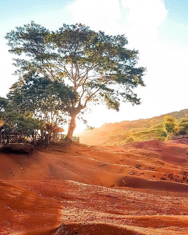 Besucher entdecken die farbenprächtigen geologischen Formationen der Siebenfarbigen Erde von Chamarel