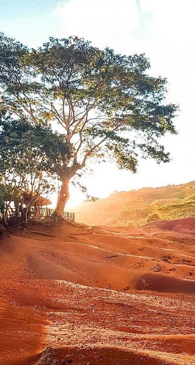 On the Heights of Chamarel