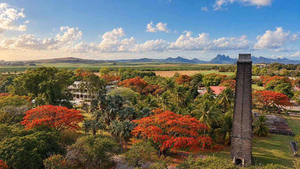 tropical-mauritius-scenery-with-a-flowering-red-flamboyant-tree-and-lush-vegetation.webp
