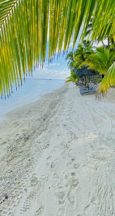 trou-aux-biches Beach photo 6