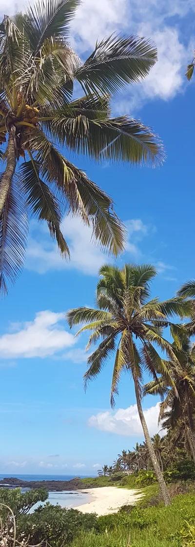 Pomponette Beach Beach photo 3