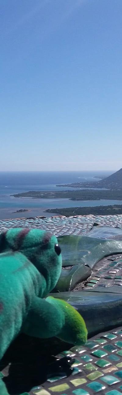 Ebony Forest Reserve Beach photo 8