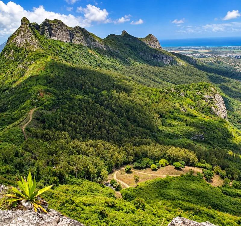 views-beyond-the-trees-at-le-pouce--mauritius..webp