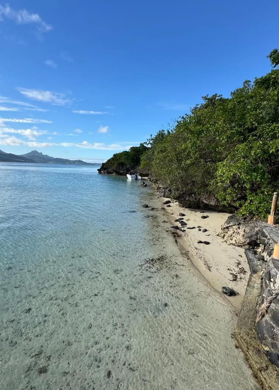 Wildtier- und Naturschutzstatue im Naturreservat Île aux Aigrettes Mauritius