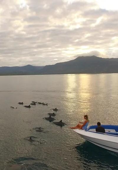Nuotare con i delfini - Costa occidentale Beach photo 8
