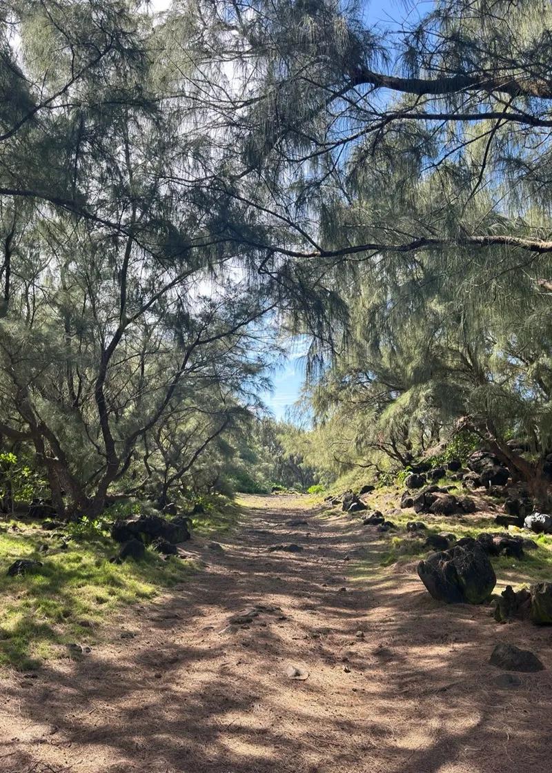 Le Souffleur Mauritius | Wild South Coast Blowhole and Natural Coastal Wonder Beach photo 5