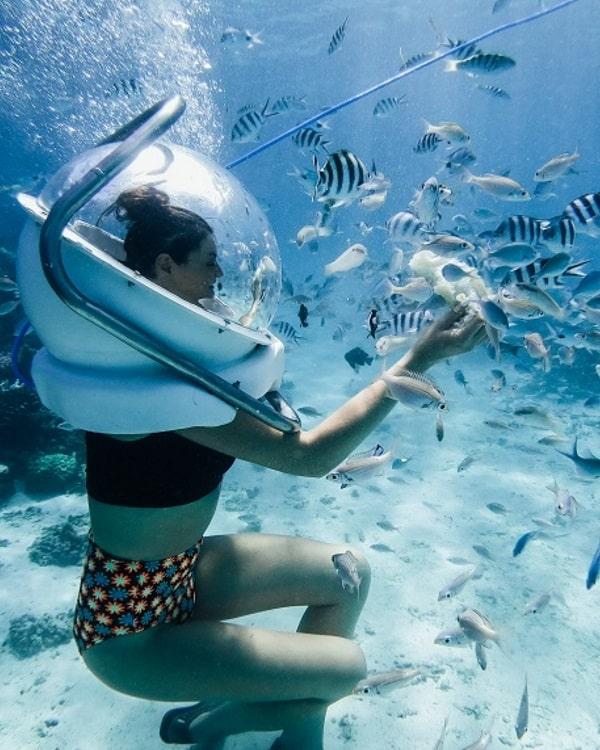 Undersea Walk