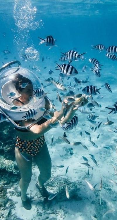 Underwater Scooter Beach photo 4