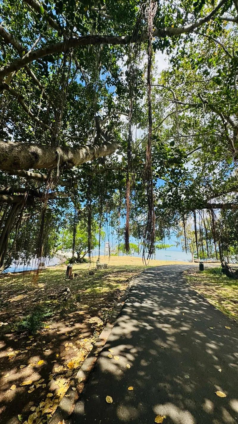 Case Noyale Giant Banyan Tree | Authentic West Coast Village Near Le Morne Beach photo 7