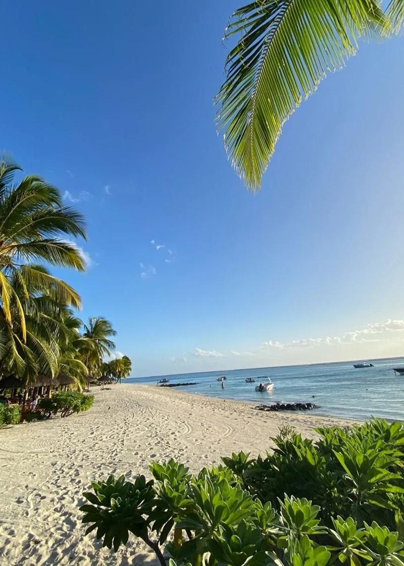 Le Morne Le Paradis Beach Beach photo 12