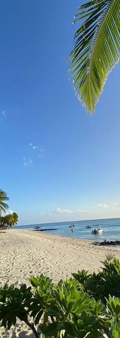 Le Morne Le Paradis Beach Beach photo 12