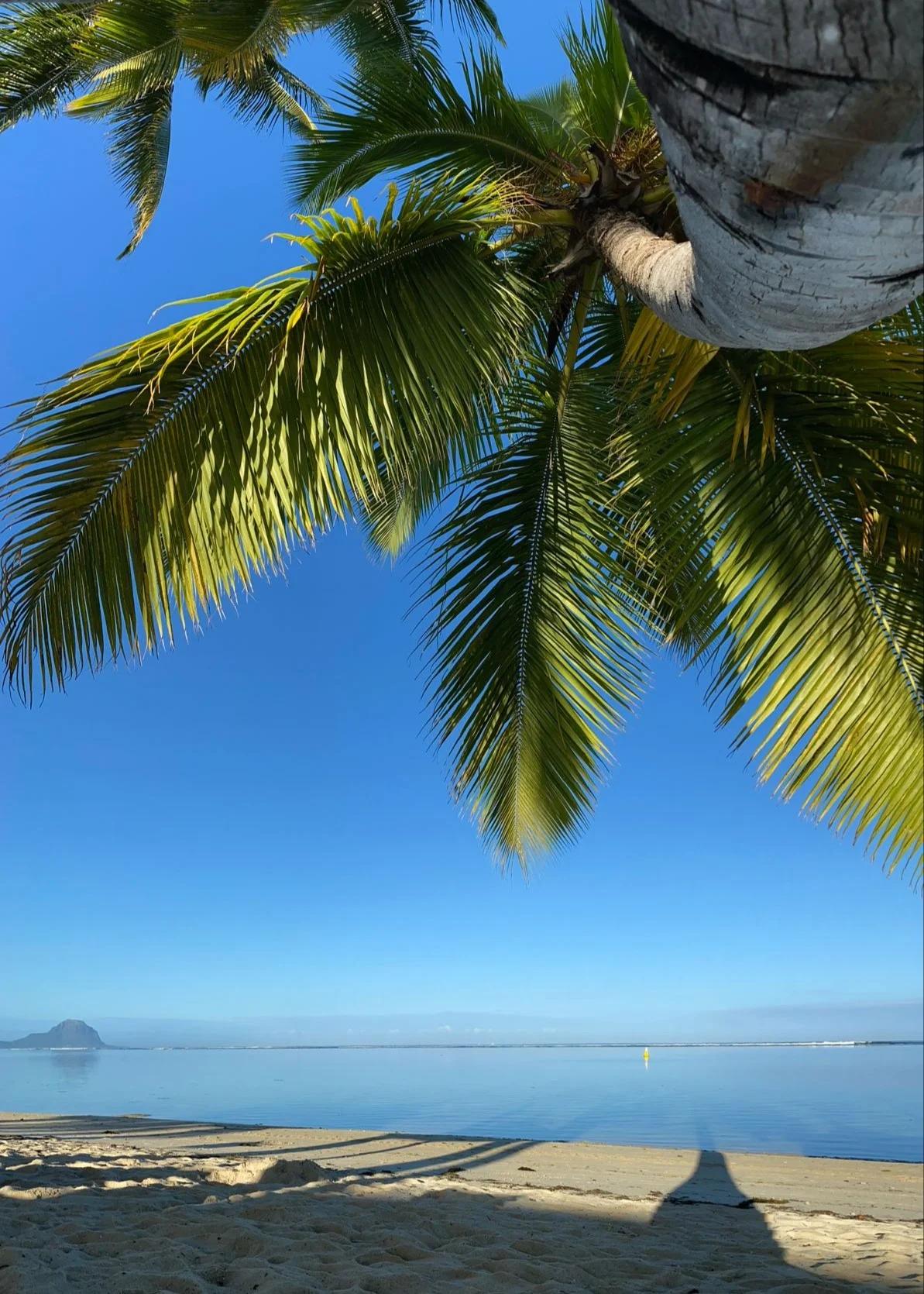 West coast Mauritius scenery at Wolmar, with turquoise lagoon water, sandy beach, tropical trees and a relaxed seaside atmosphere.
