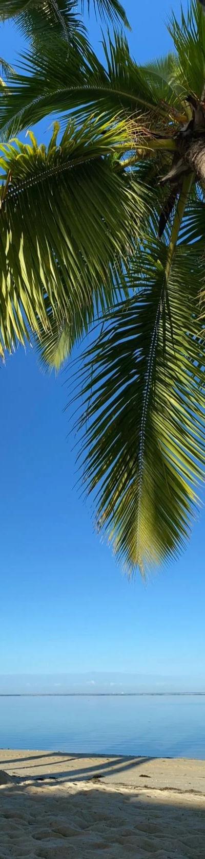 Wolmar Beach photo 6