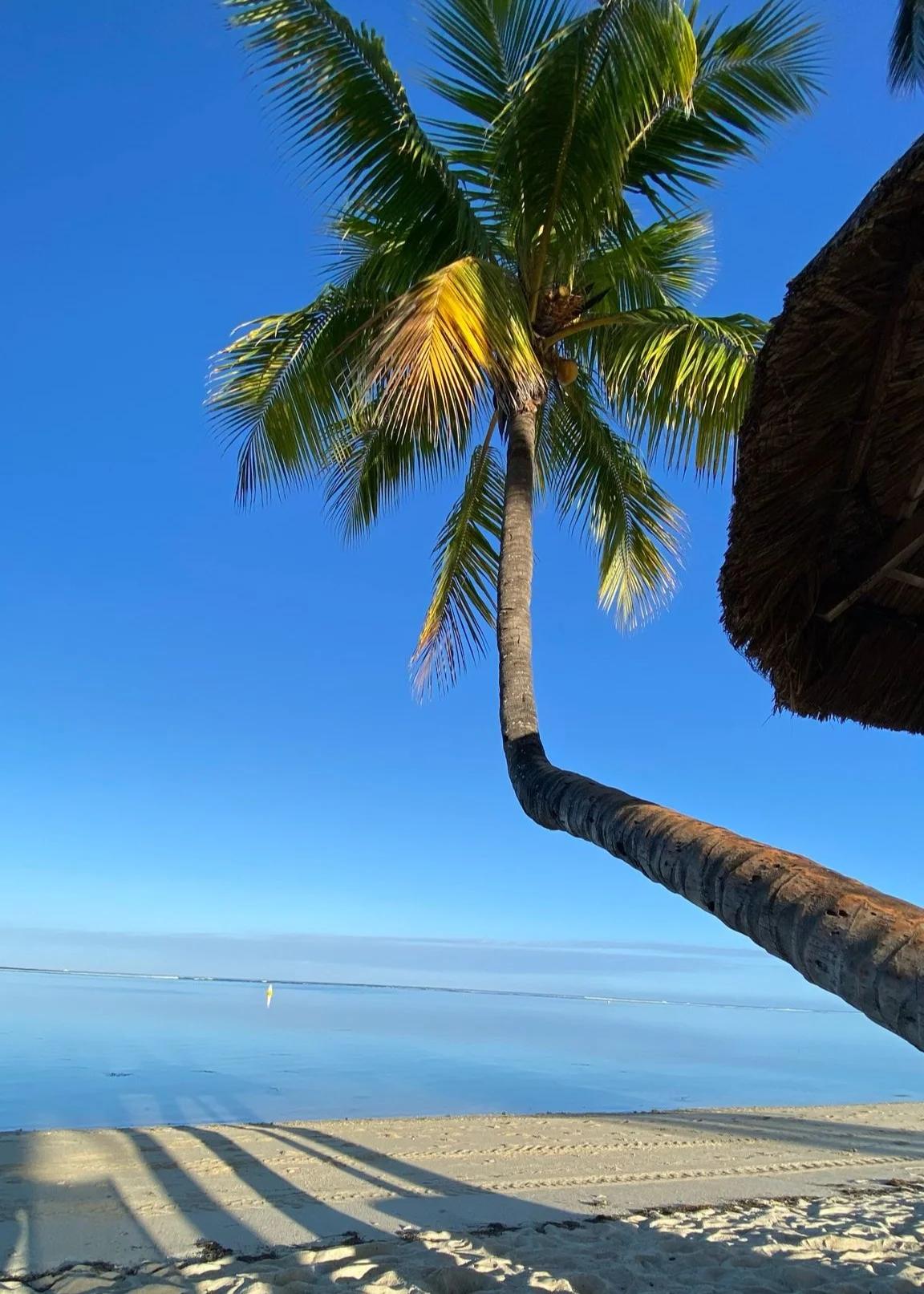 Wolmar Mauritius, a beautiful coastal area between Flic en Flac and Tamarin known for sunsets, beach resorts and lagoon views.