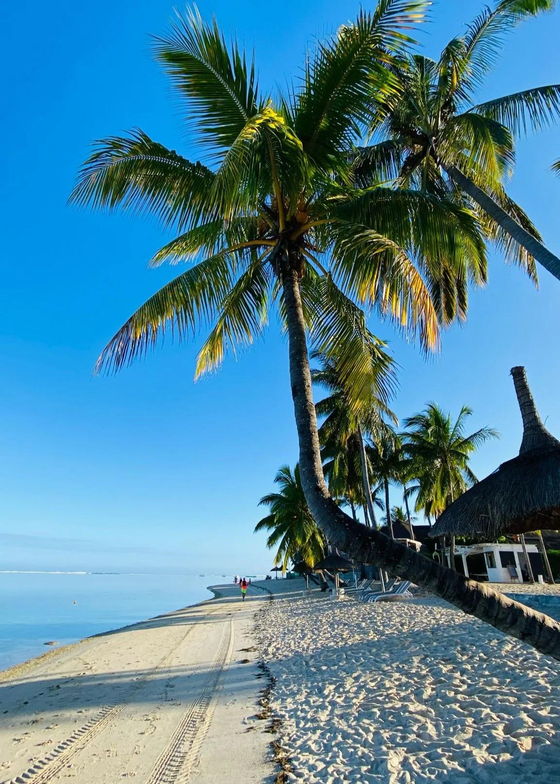 Wolmar Mauritius beach landscape, featuring clear blue water, casuarina trees and one of the best coastal areas near Flic en Flac.