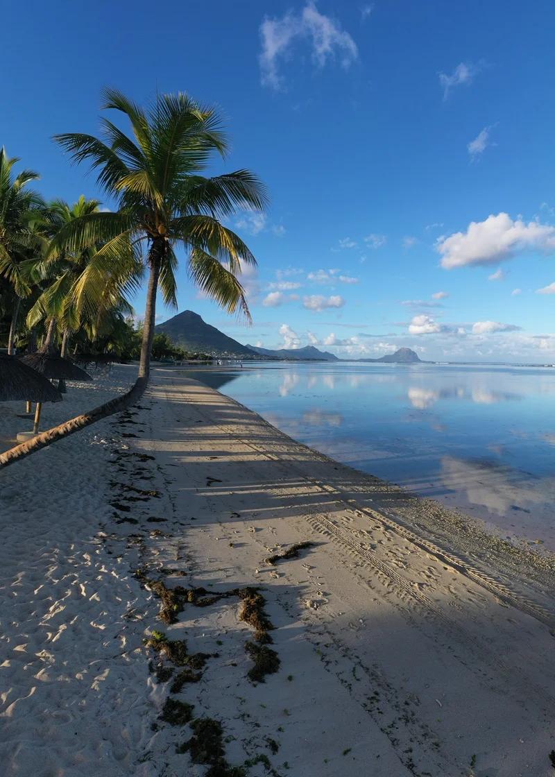 Dove alloggiare a Mauritius a dicembre + itinerario di 7 giorni