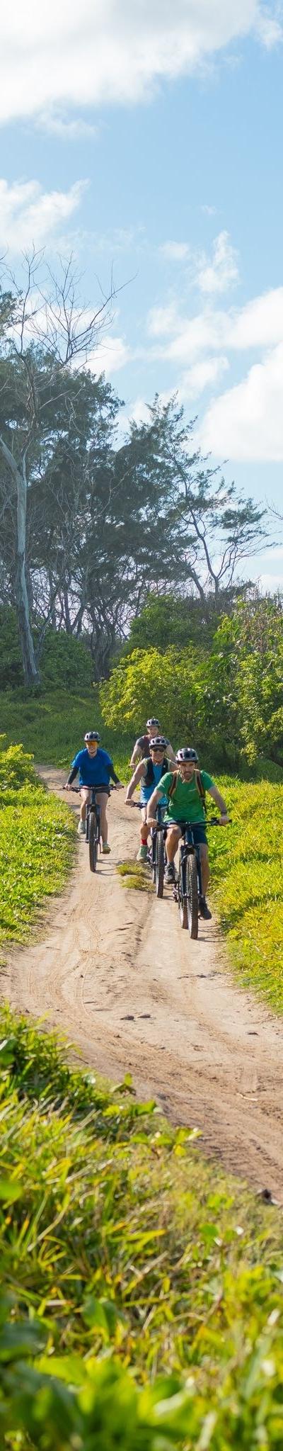 Wild South E-bike Adventure Beach photo 3