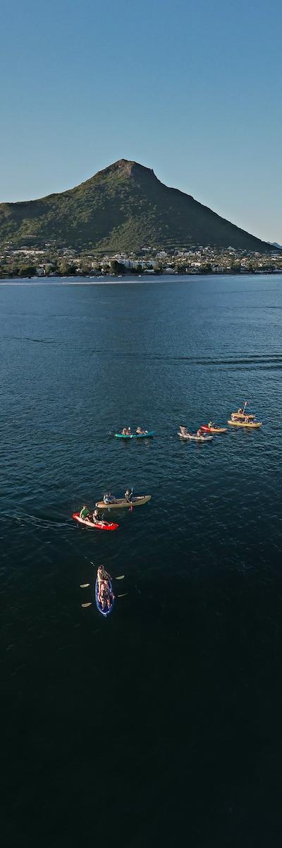 Kayak with Dolphins in Mauritius Beach photo 5
