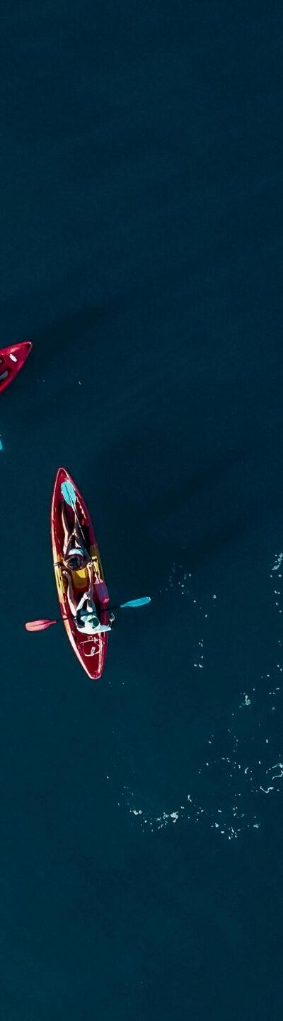 kayak-with-dolphins-mauritius Beach photo 3