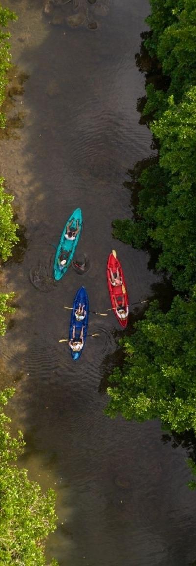 Kayak on the Tamarin River Beach photo 5