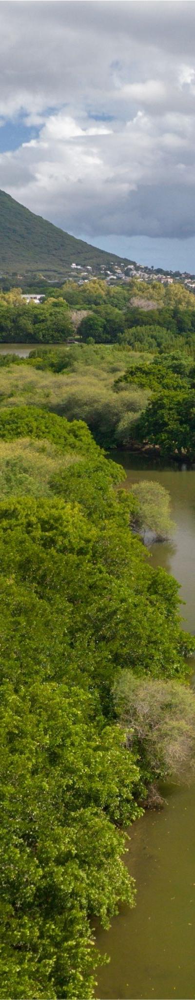 Kayak on the Tamarin River Beach photo 6